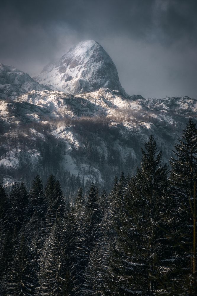 Photograph by Danica Markez