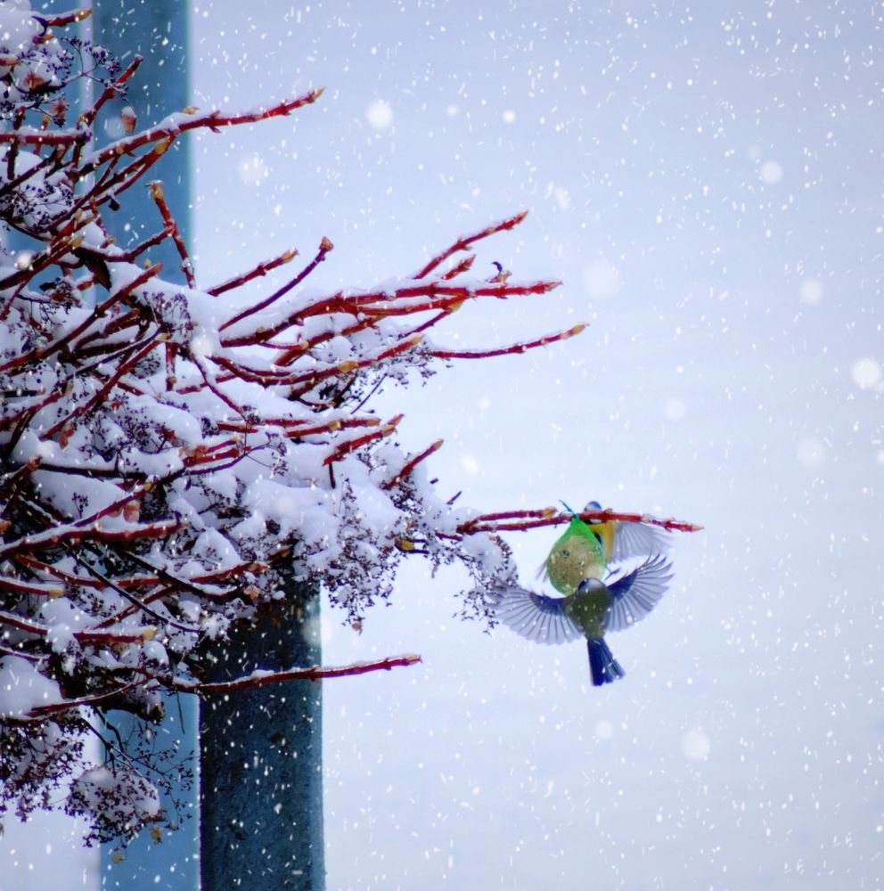 Photograph by Eva Minßen