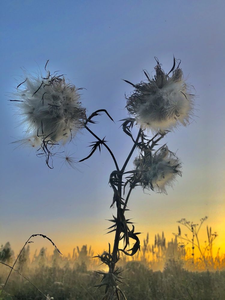 Photograph by Евгения Ципрук