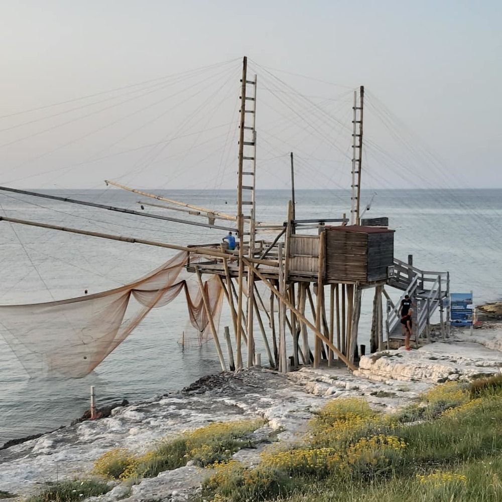 Photograph by Виктория Стецко