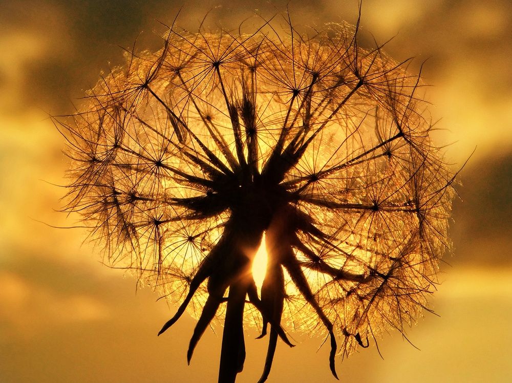 Photograph by Ana Bakic