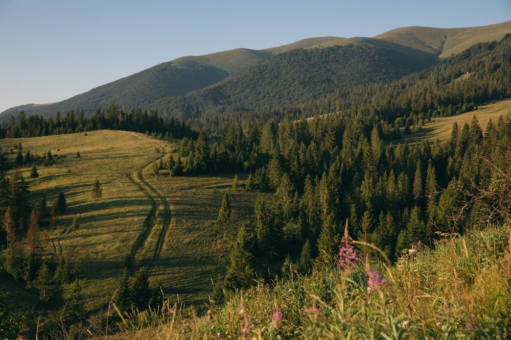 Фотография автора Ann Semenova