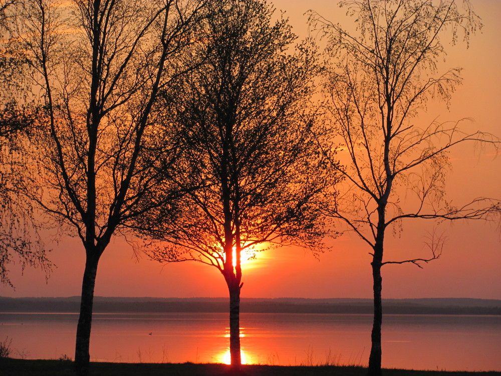 Photograph by Юлия