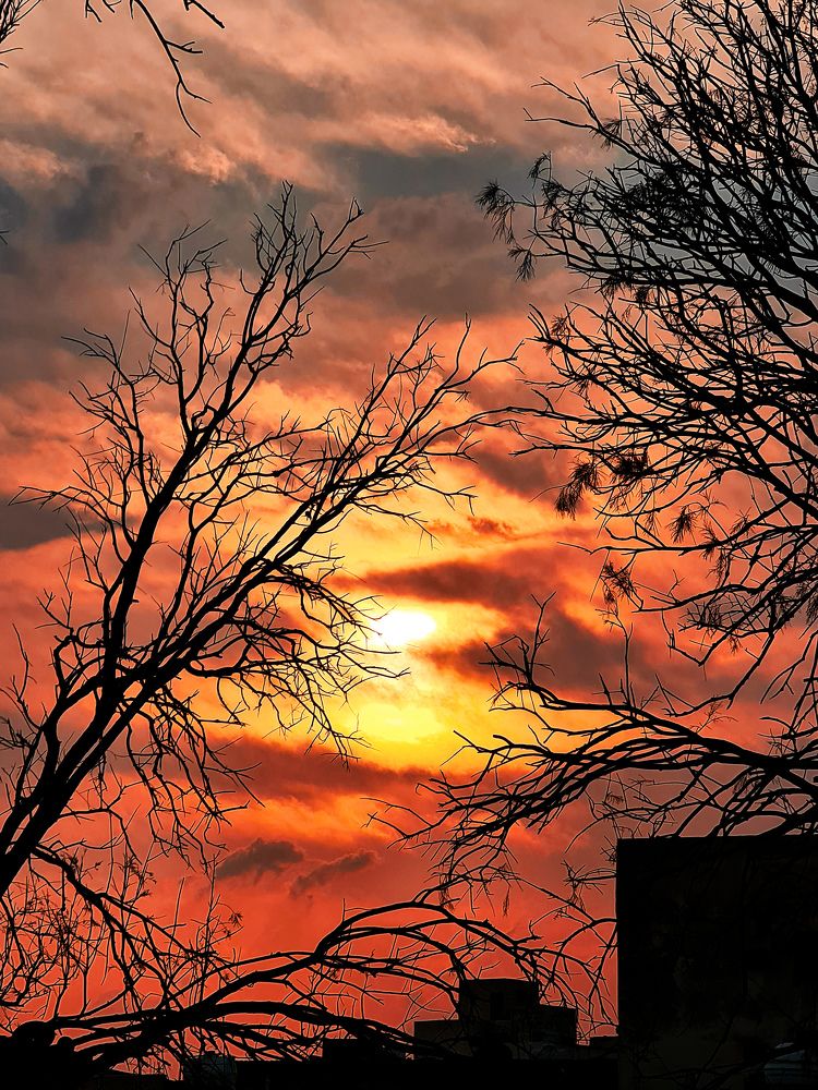 Photograph by Khadija Ebrahim