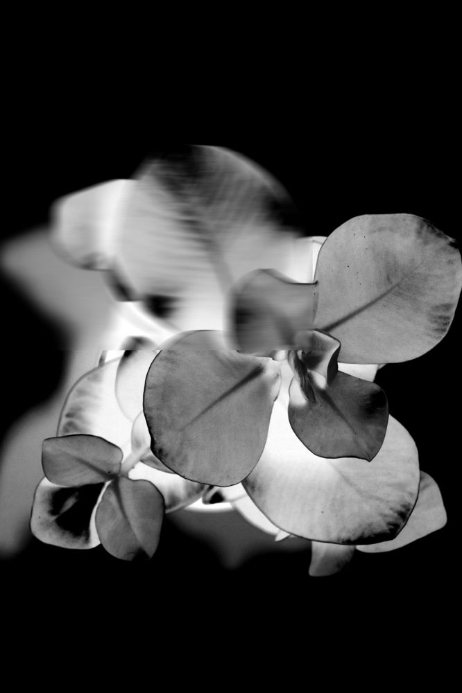 Photograph by Michal Rawski