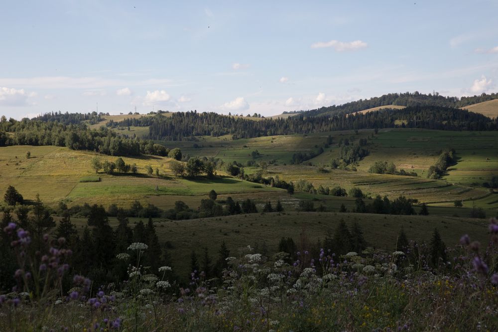 Фотография автора Ann Semenova