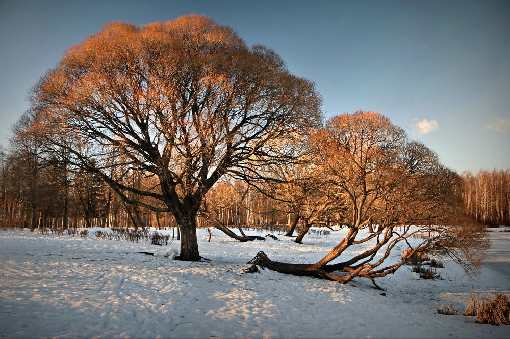 Фотография автора Анатолий Дауров