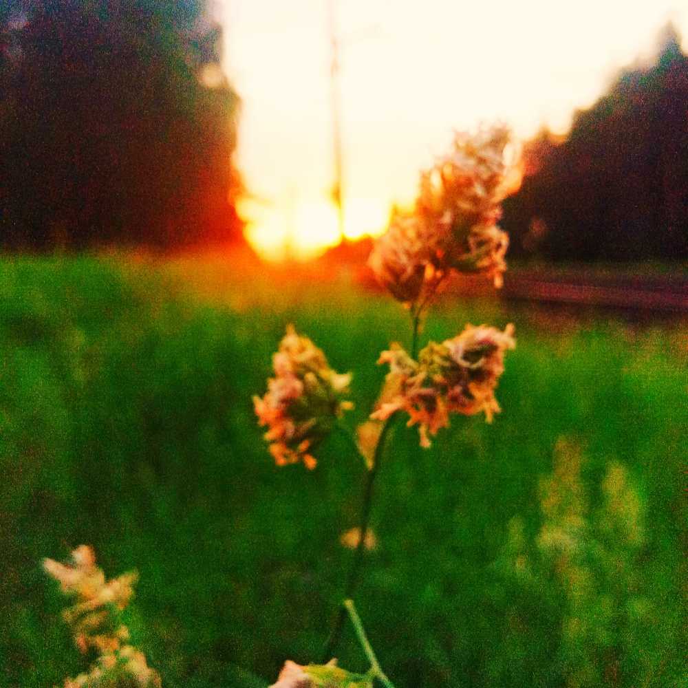 Photograph by Дмитрий Билько