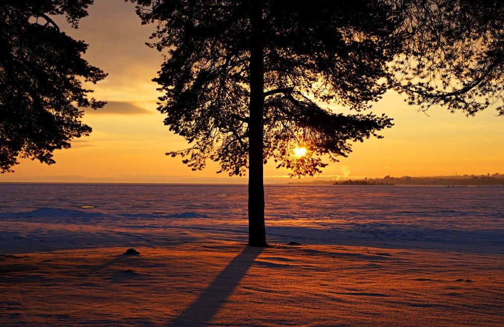 Photograph by Сергей Афанасьев