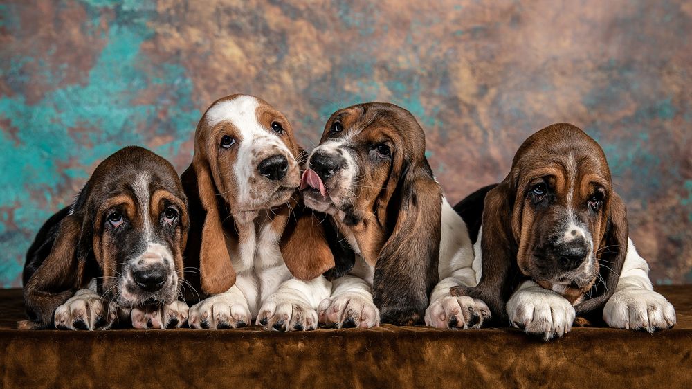 Photograph by Спесивцева Эльмира