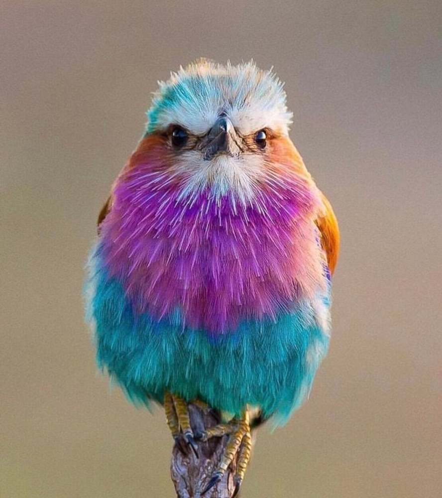 Photograph by M.Bassam Abokf