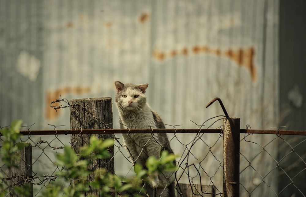 Photograph by Евгений