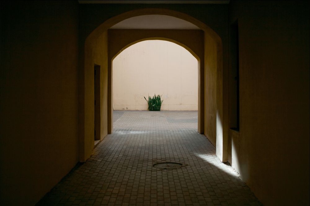 Photograph by Кирилл Зарубин