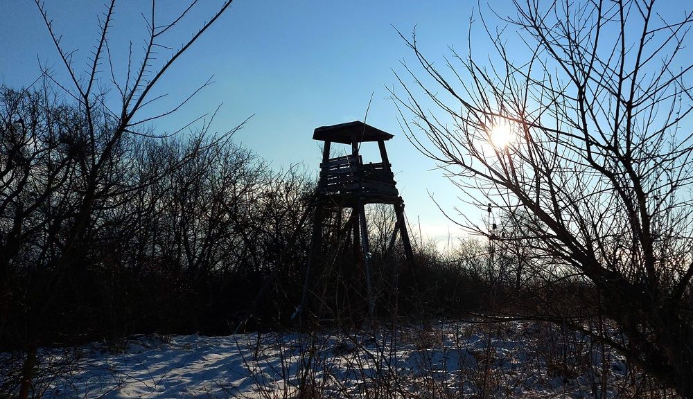 Фотография автора Stevo Dragić