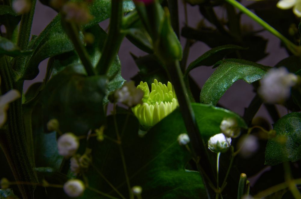 Photograph by Камиль Ахметшин