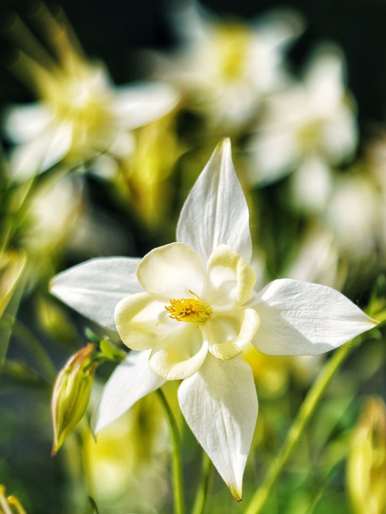 Photograph by Игорь Маслов