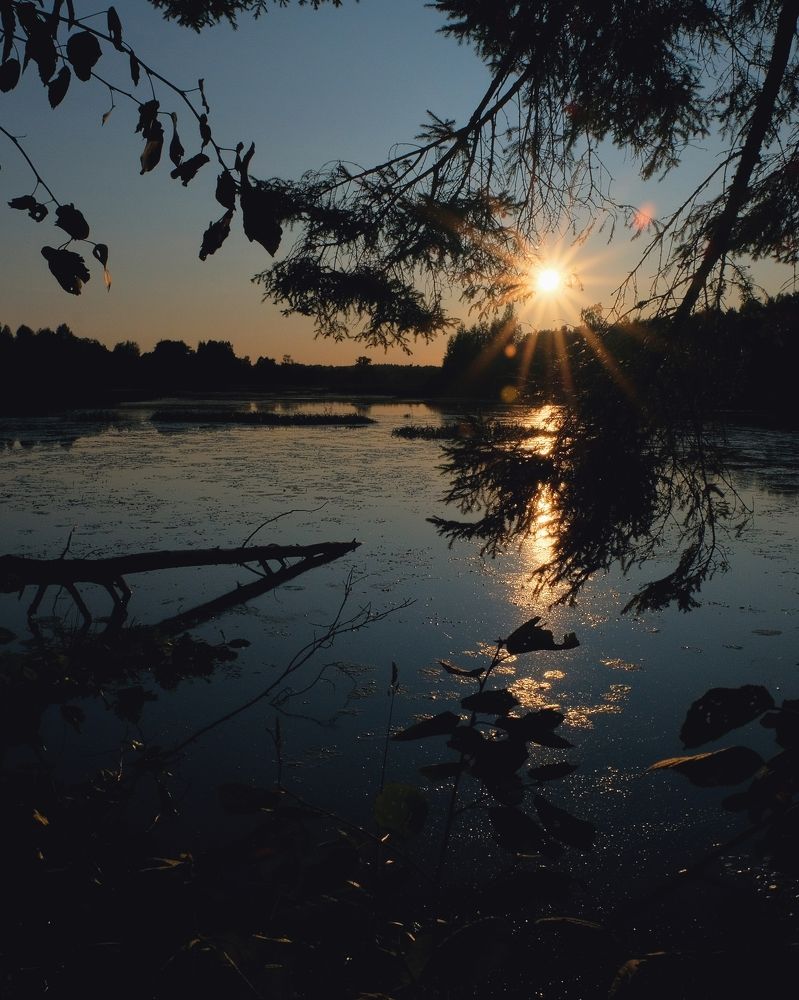 Силуэты заката