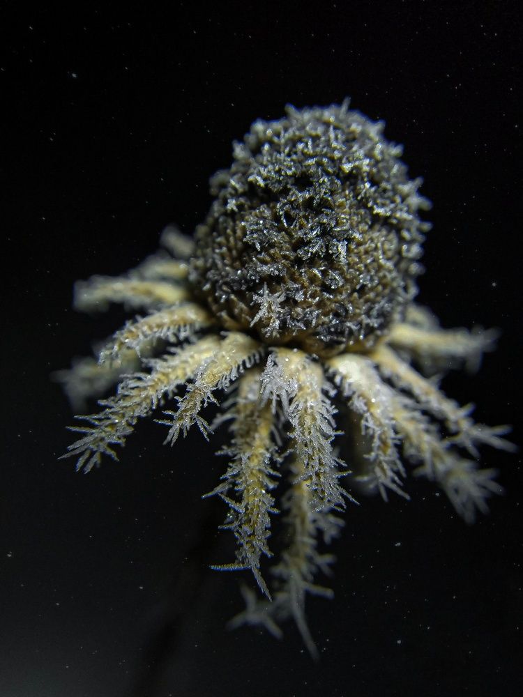 Фотография автора Наталья Алексеева