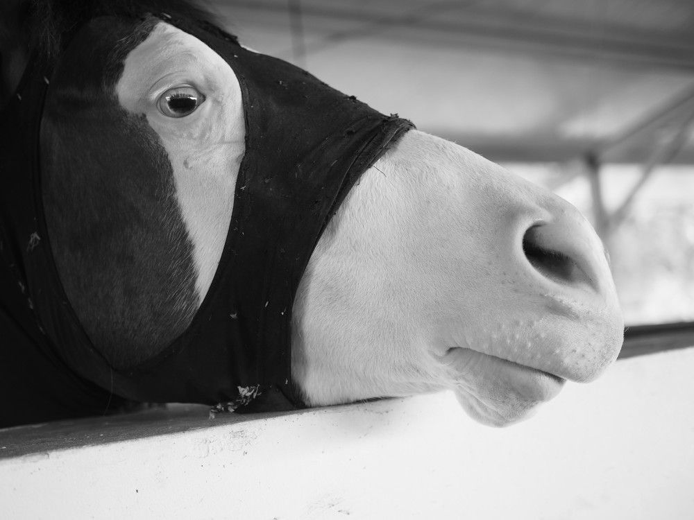 Photograph by Валентина Лопаткина