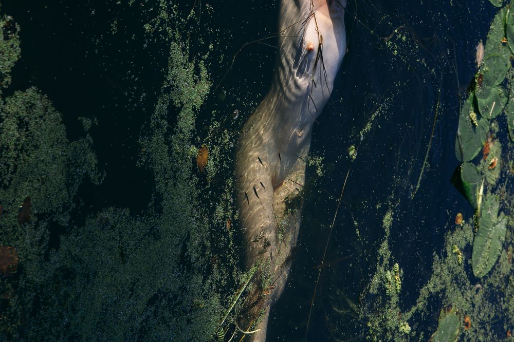 Фотография автора Ann Semenova