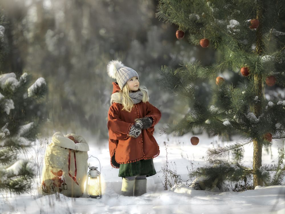 Фотография автора Виктория Прошкина