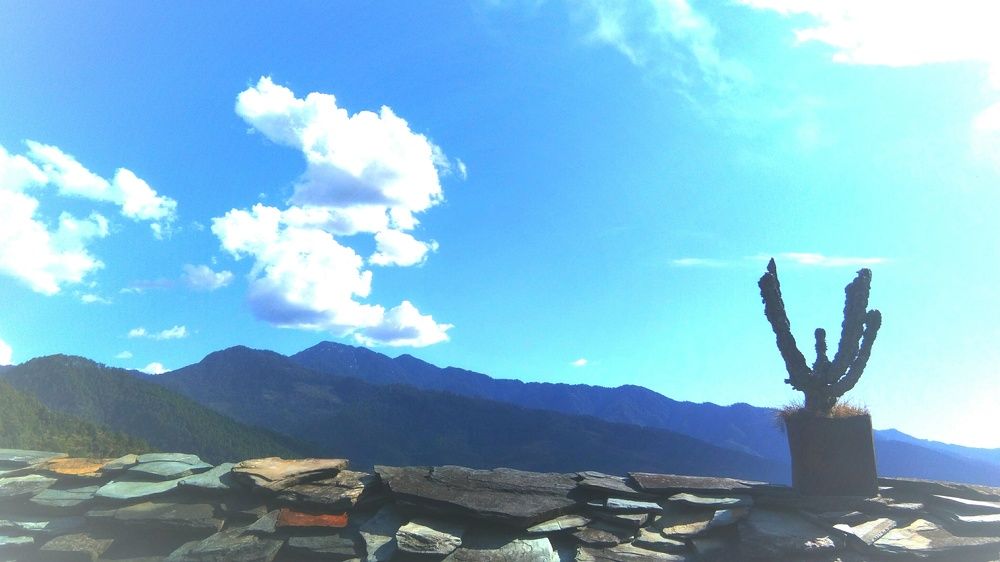 The hills of uttarakhand