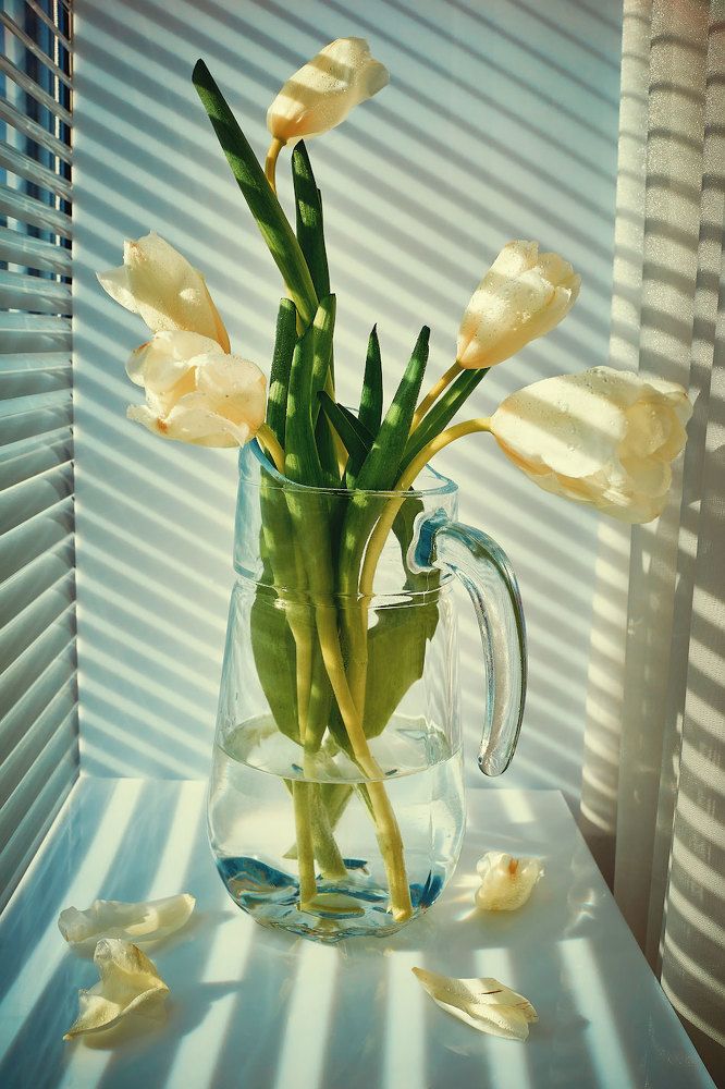 Photograph by Андрей