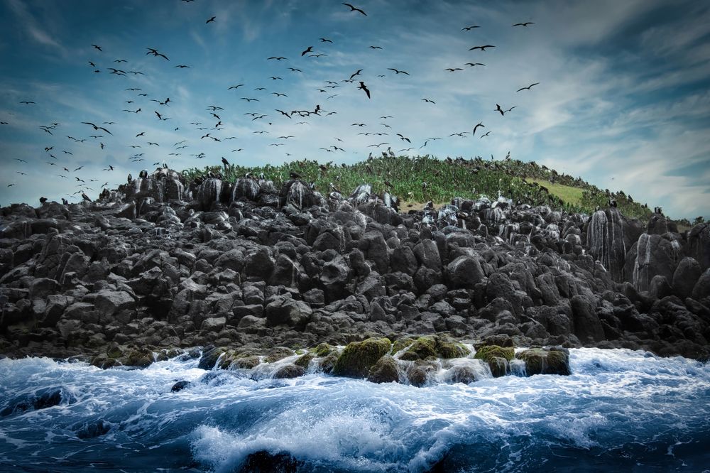 Photograph by Rafael Colorado Arredondo