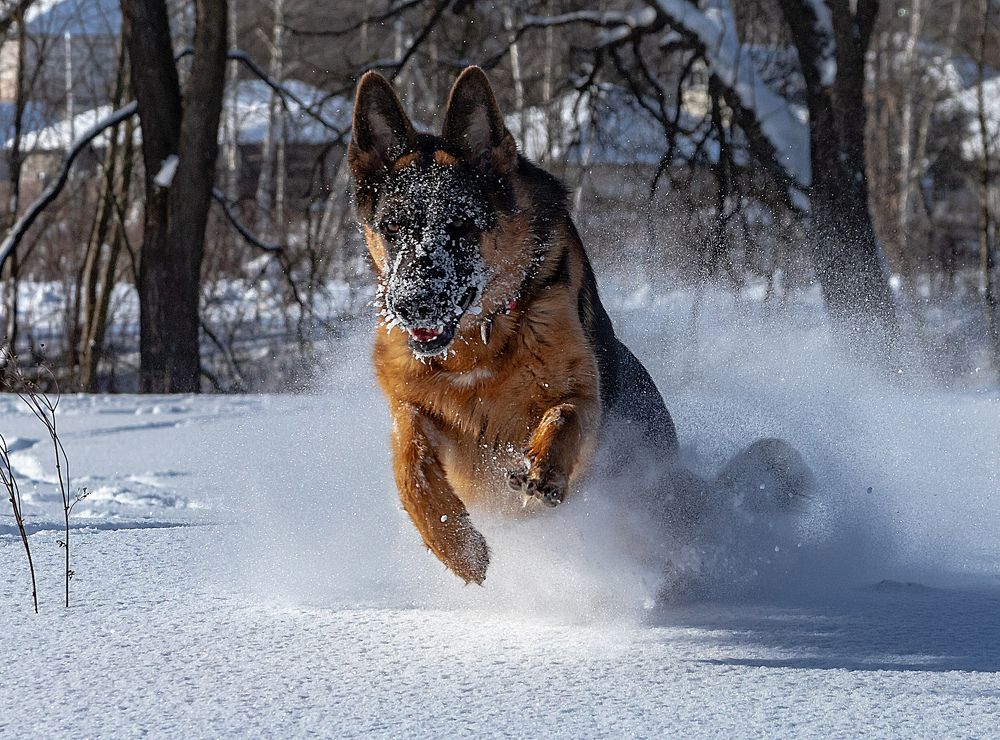 Photograph by Александр Есликов