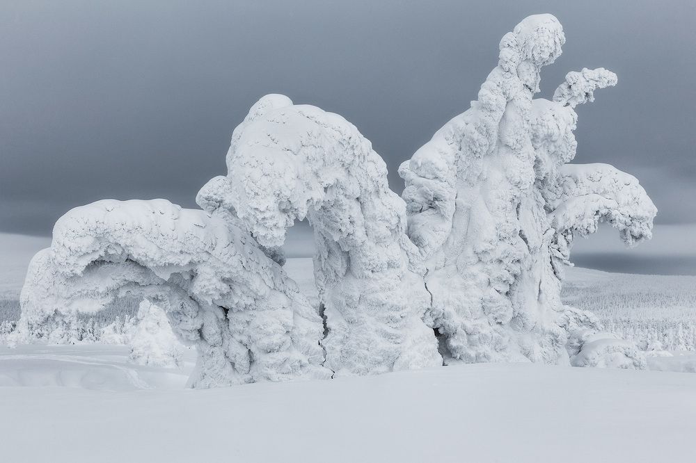 Photograph by Сергей Гарифуллин