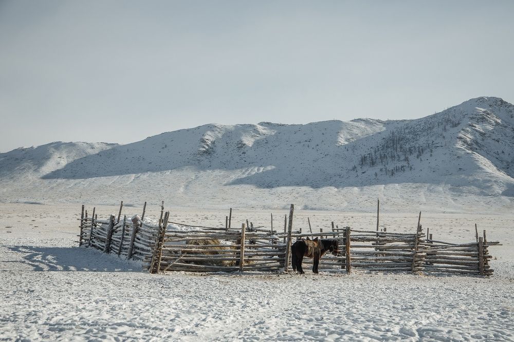 В гостях у чабана