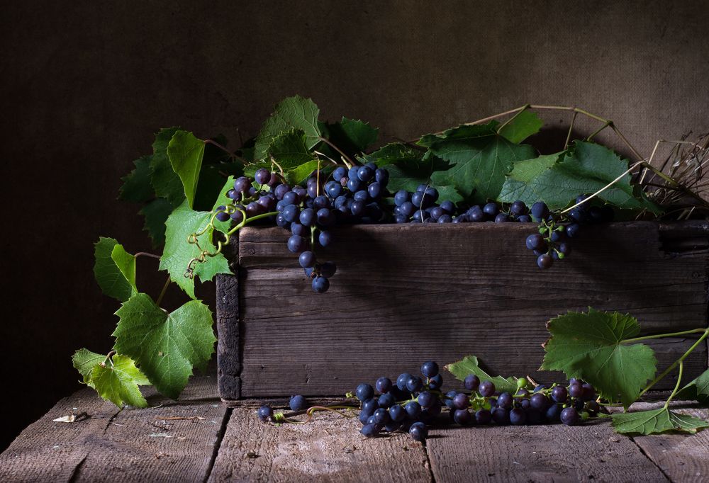 Photograph by Елена Мустафина