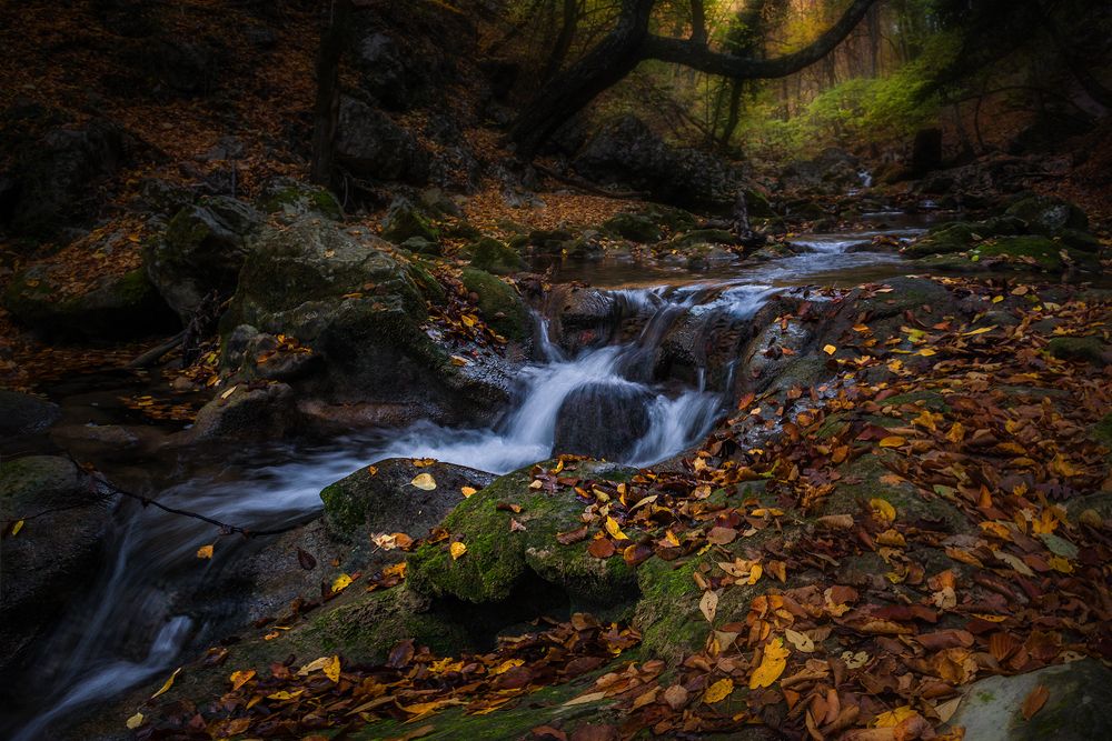 Photograph by Владимир Яковлев