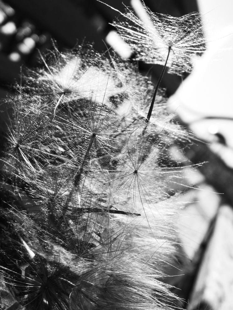 Photograph by Марина Савченко