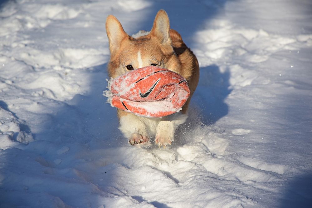 Фотография автора Альбина Хвастунова