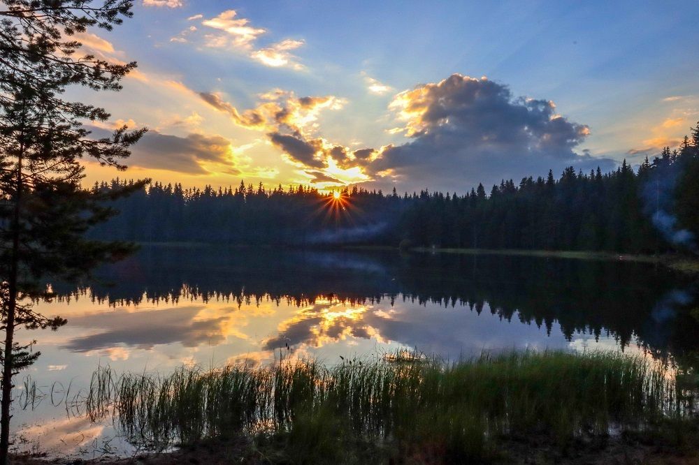 Photograph by Diana Dimova