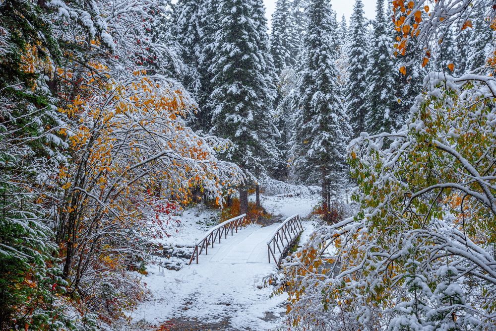 Photograph by Евгений Дроботенко