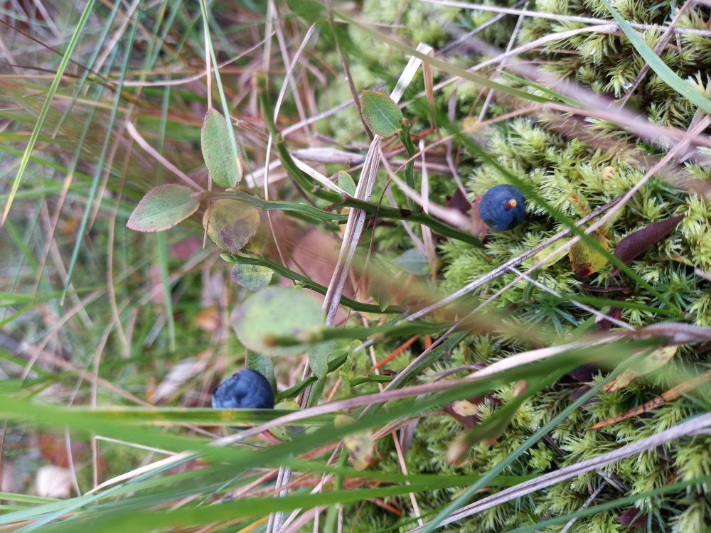 Фотография автора Евгения Зайцева