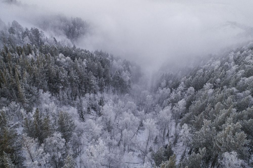 Photograph by Александр Нерозя