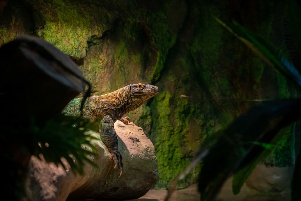 Photograph by Marija Safigulina