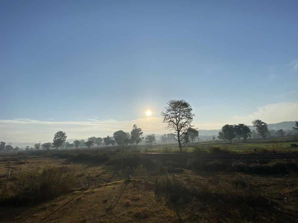 Photograph by Sharma Dr Megha