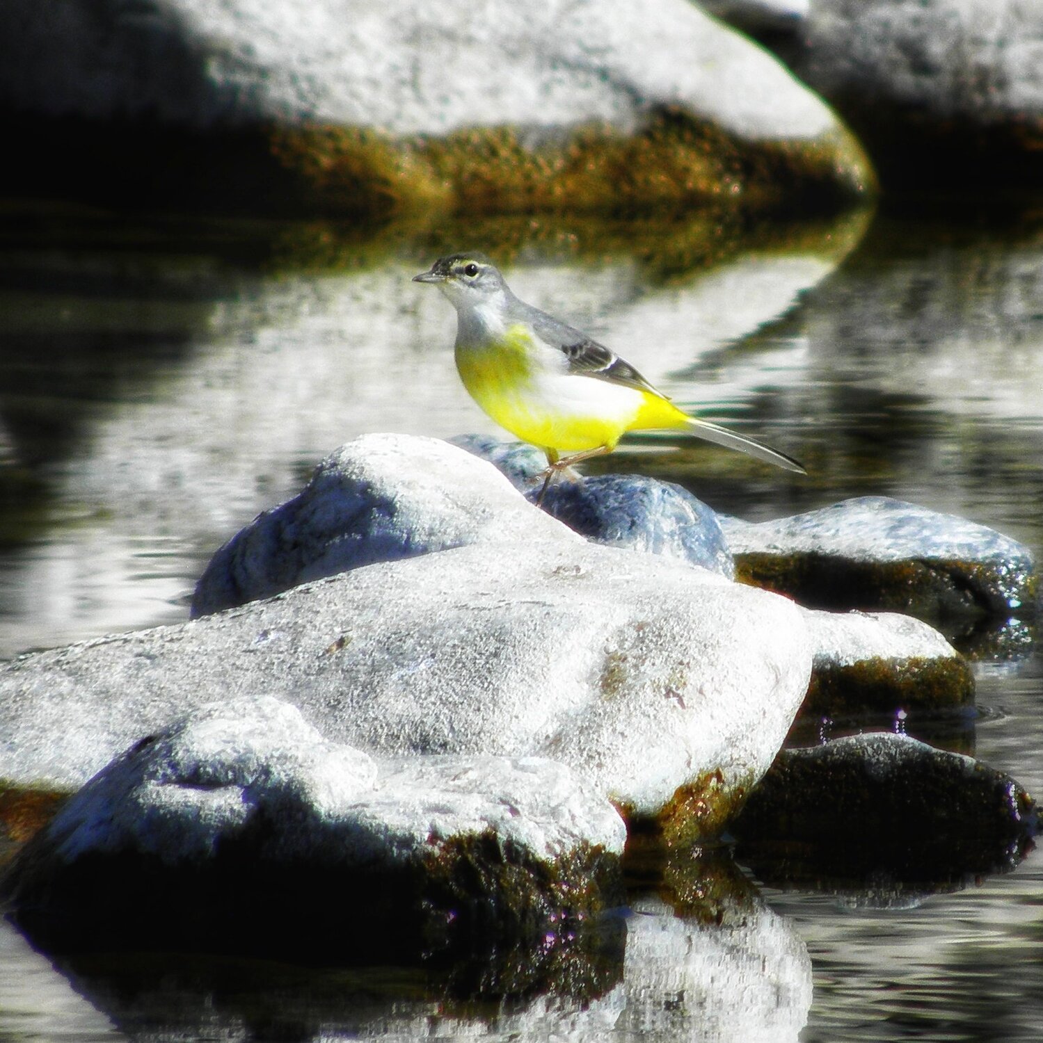 Photo #5834808