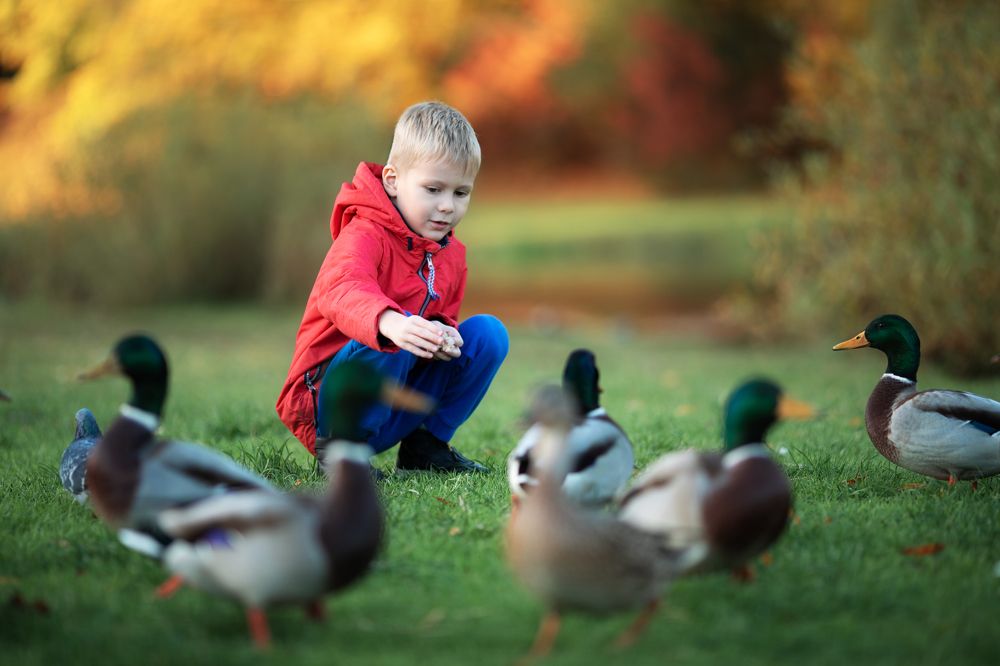 Photograph by Таня Яунжекарс