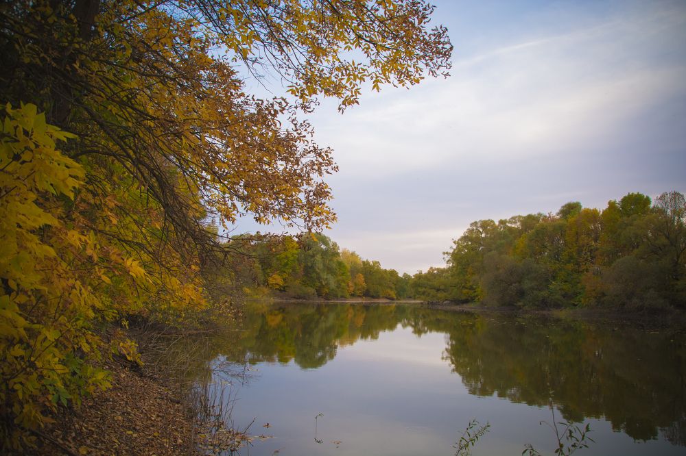 Photograph by Алла Шаталова