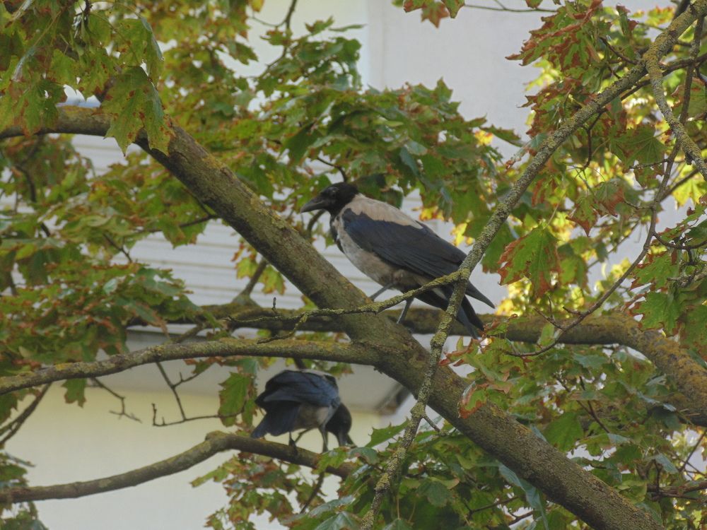 Photo #5834861