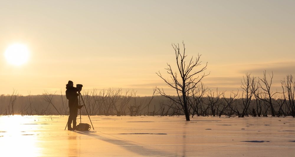 Фотография автора Евгений Подгорнов