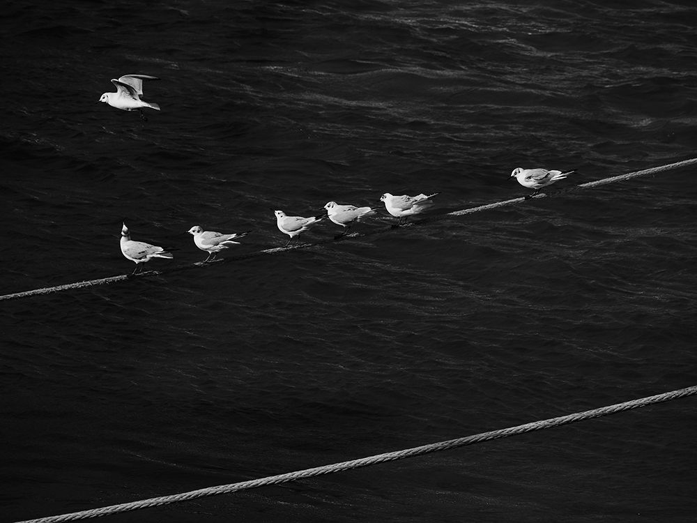 Photograph by Hyungsub Choi