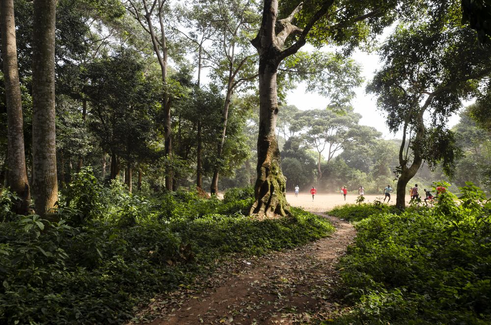 Photograph by Tarek Mahmoud