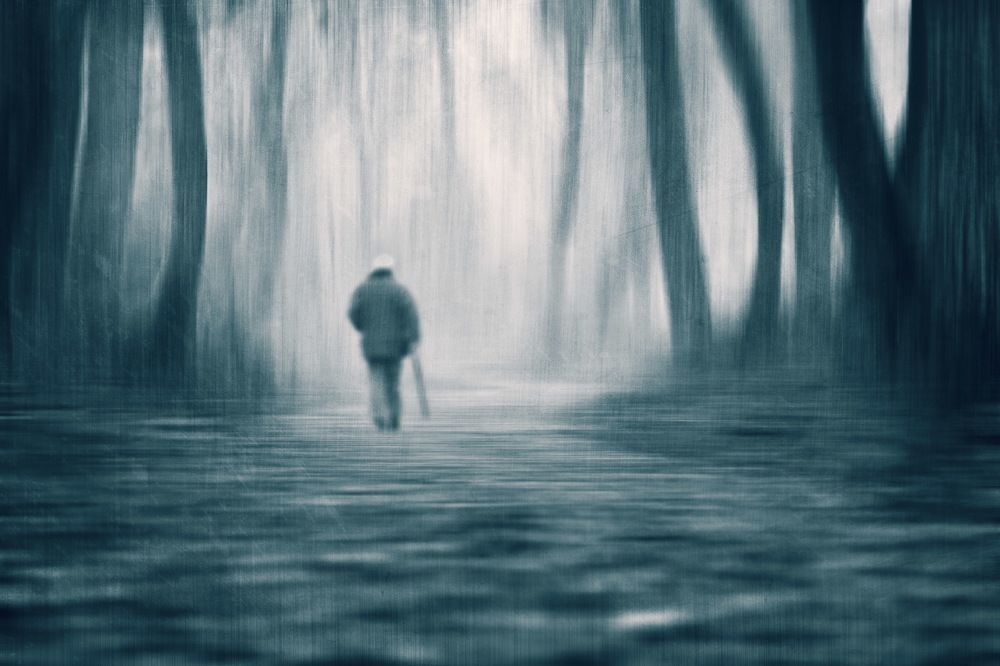 Photograph by Fermín