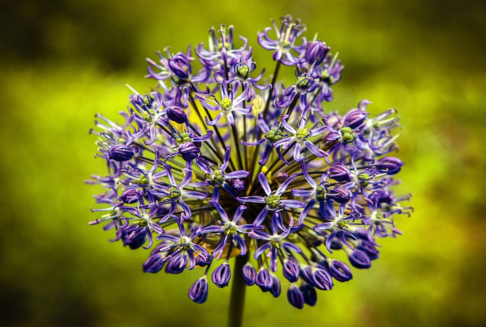 Photograph by Юлия Ковальчук